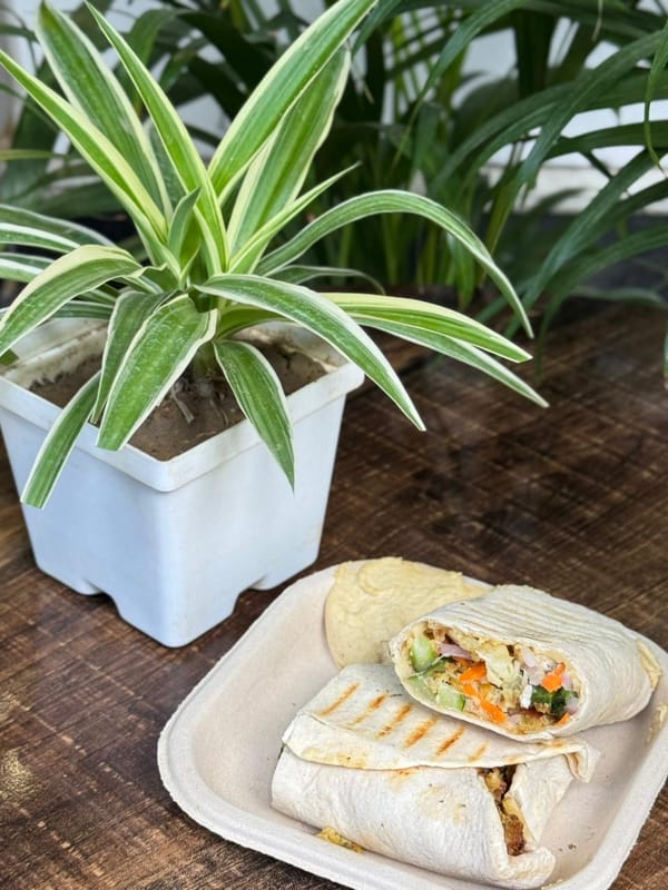 Paneer Shawarma + Fries